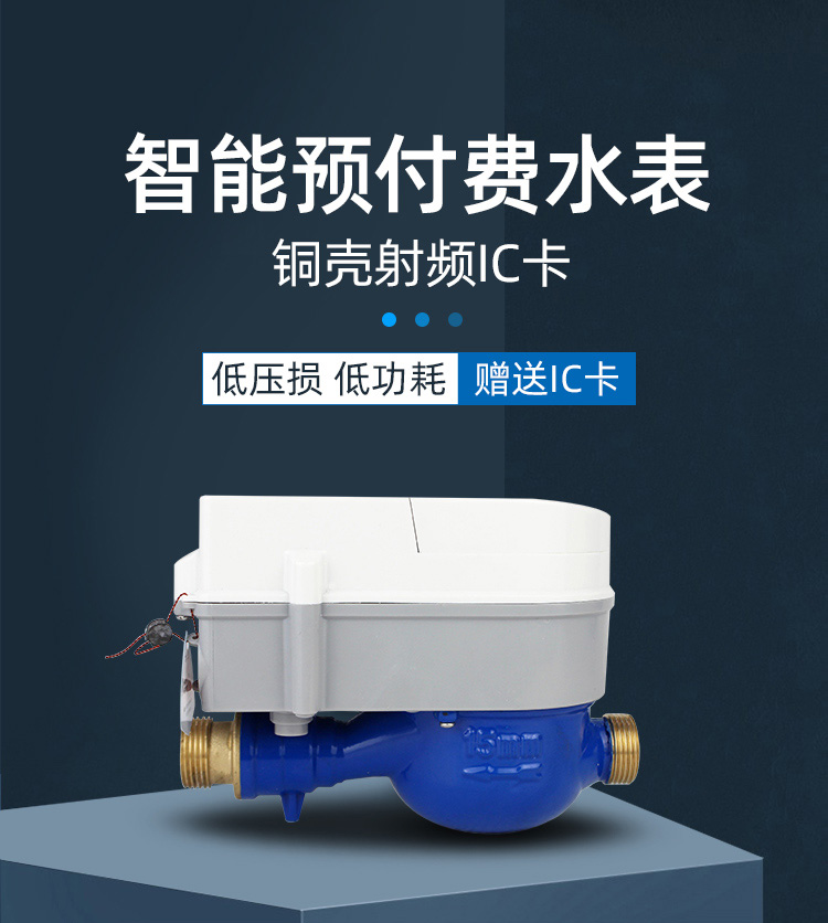 遠傳直飲水水表