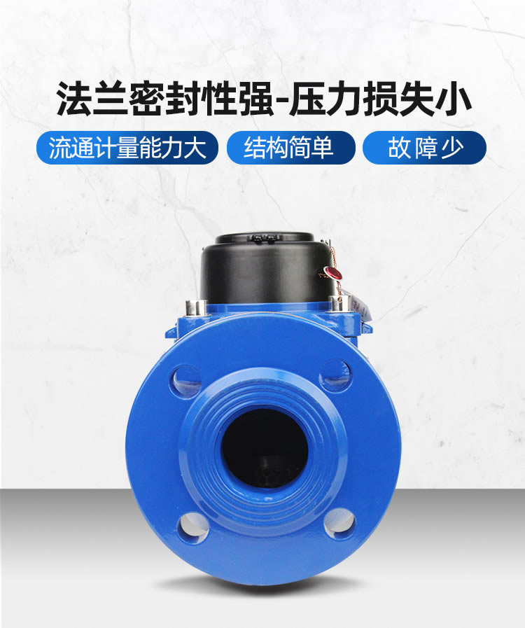 NB遠傳WS垂直螺翼式冷水表